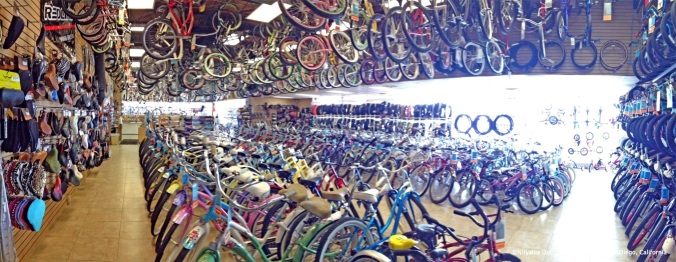 A bike store that specializes on cruisers. Where we also rented our bikes to go around.